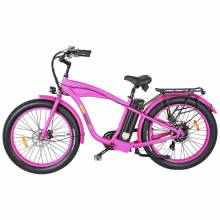 Merry Go Electric Bicycle for Outdoor Electric City Bike Fat Tire